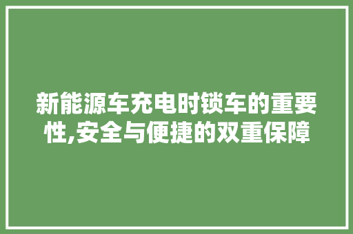新能源车充电时锁车的重要性,安全与便捷的双重保障