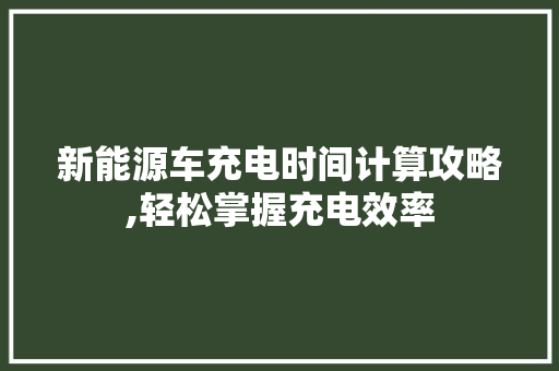 新能源车充电时间计算攻略,轻松掌握充电效率 汽车配件