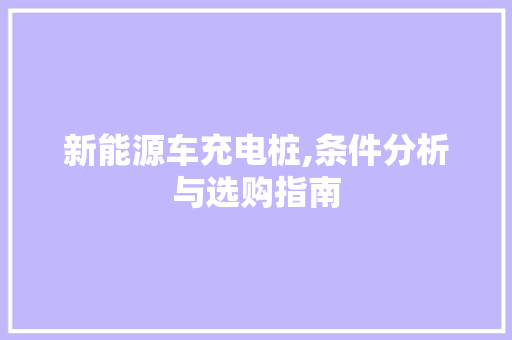 新能源车充电桩,条件分析与选购指南