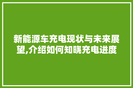 新能源车充电现状与未来展望,介绍如何知晓充电进度