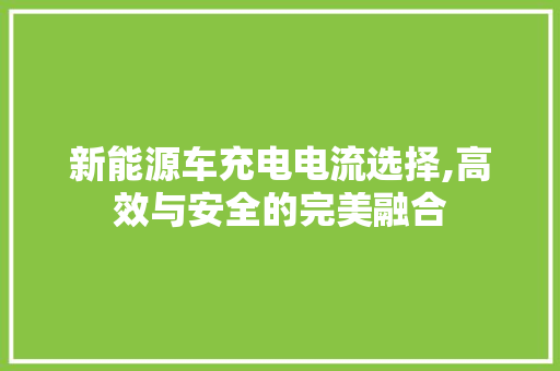 新能源车充电电流选择,高效与安全的完美融合