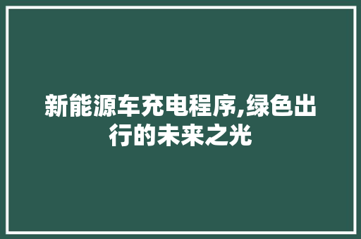 新能源车充电程序,绿色出行的未来之光