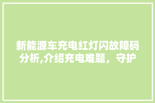 新能源车充电红灯闪故障码分析,介绍充电难题，守护绿色出行 车联网技术