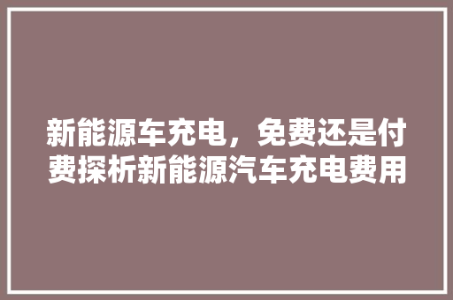 新能源车充电，免费还是付费探析新能源汽车充电费用及政策 新车资讯