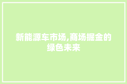 新能源车市场,商场掘金的绿色未来