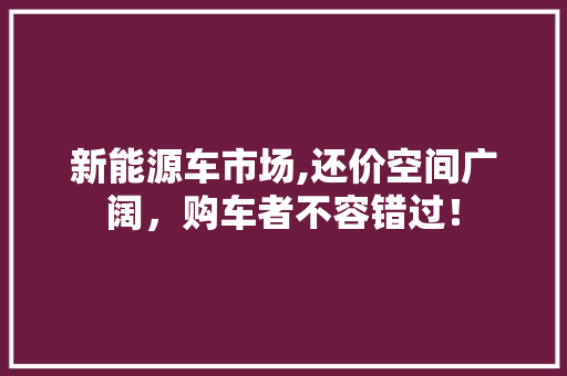 新能源车市场,还价空间广阔，购车者不容错过！