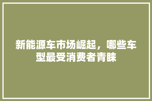 新能源车市场崛起，哪些车型最受消费者青睐
