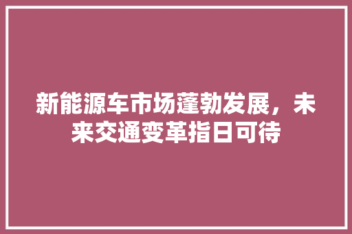 新能源车市场蓬勃发展，未来交通变革指日可待