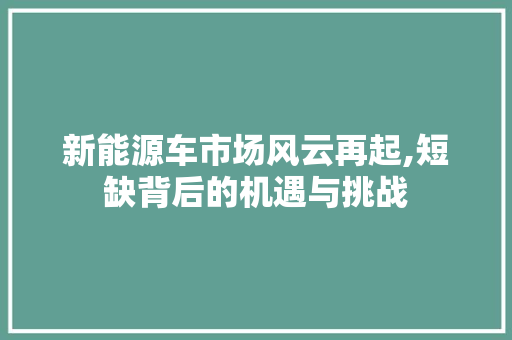 新能源车市场风云再起,短缺背后的机遇与挑战