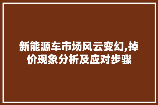新能源车市场风云变幻,掉价现象分析及应对步骤