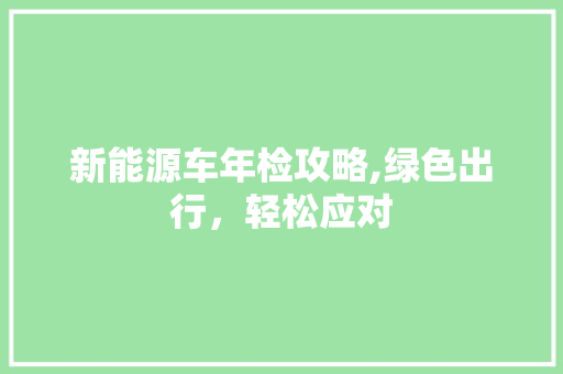新能源车年检攻略,绿色出行，轻松应对