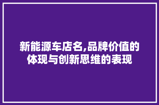 新能源车店名,品牌价值的体现与创新思维的表现