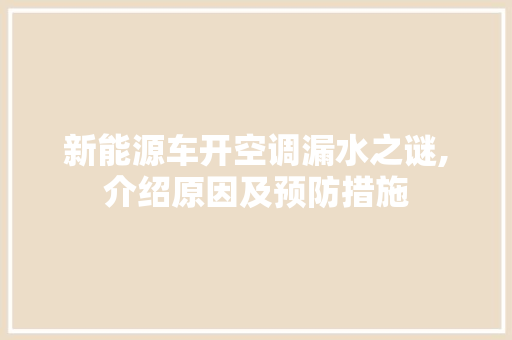 新能源车开空调漏水之谜,介绍原因及预防措施