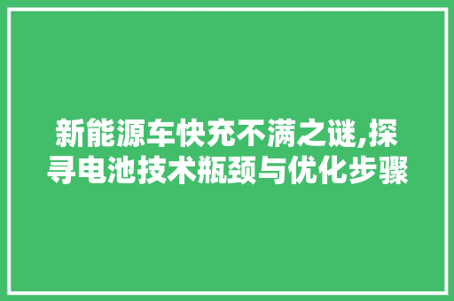 新能源车快充不满之谜,探寻电池技术瓶颈与优化步骤 混合动力车