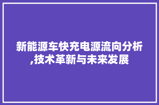 新能源车快充电源流向分析,技术革新与未来发展