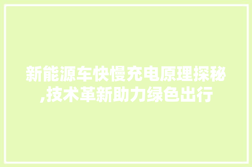 新能源车快慢充电原理探秘,技术革新助力绿色出行 汽车展览