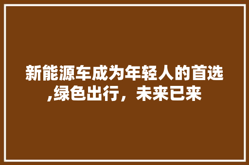 新能源车成为年轻人的首选,绿色出行，未来已来