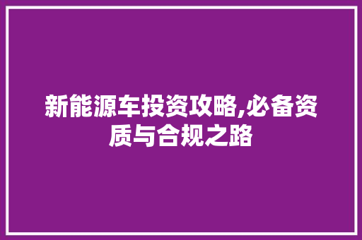 新能源车投资攻略,必备资质与合规之路