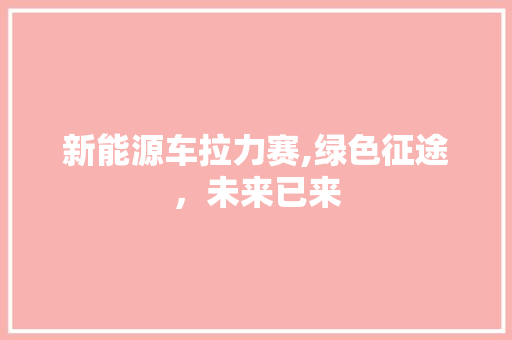 新能源车拉力赛,绿色征途，未来已来