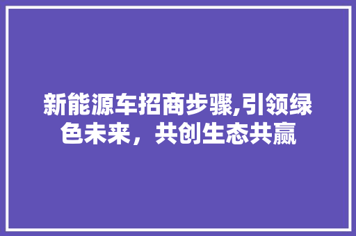 新能源车招商步骤,引领绿色未来，共创生态共赢