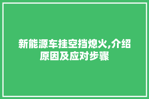 新能源车挂空挡熄火,介绍原因及应对步骤 新车资讯