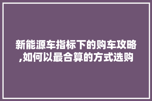 新能源车指标下的购车攻略,如何以最合算的方式选购心仪座驾 混合动力车