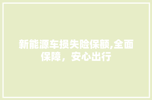 新能源车损失险保额,全面保障，安心出行 新车资讯