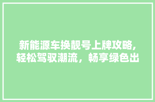 新能源车换靓号上牌攻略,轻松驾驭潮流，畅享绿色出行