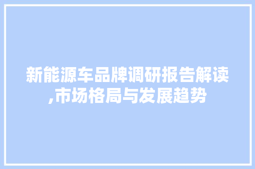 新能源车品牌调研报告解读,市场格局与发展趋势