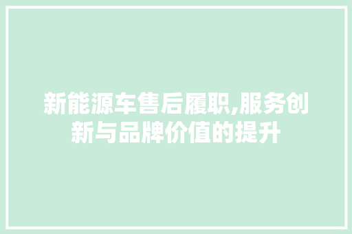 新能源车售后履职,服务创新与品牌价值的提升