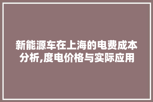 新能源车在上海的电费成本分析,度电价格与实际应用分析 混合动力车
