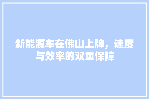 新能源车在佛山上牌，速度与效率的双重保障