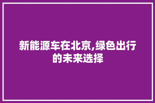 新能源车在北京,绿色出行的未来选择 车联网技术