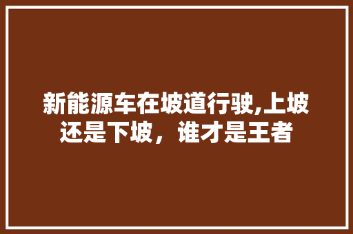 新能源车在坡道行驶,上坡还是下坡，谁才是王者