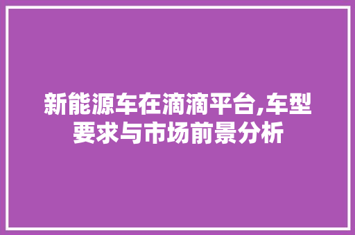 新能源车在滴滴平台,车型要求与市场前景分析