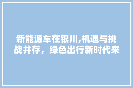 新能源车在银川,机遇与挑战并存，绿色出行新时代来临