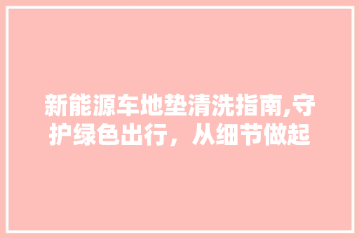 新能源车地垫清洗指南,守护绿色出行，从细节做起