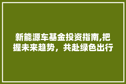 新能源车基金投资指南,把握未来趋势，共赴绿色出行新时代 汽车配件