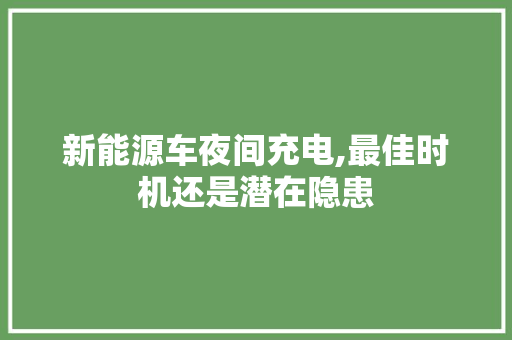 新能源车夜间充电,最佳时机还是潜在隐患