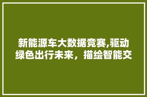 新能源车大数据竞赛,驱动绿色出行未来，描绘智能交通蓝图