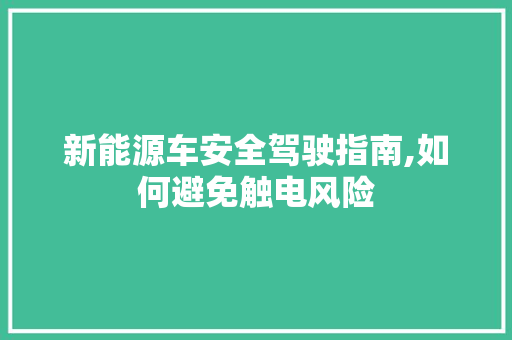 新能源车安全驾驶指南,如何避免触电风险