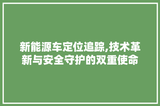 新能源车定位追踪,技术革新与安全守护的双重使命