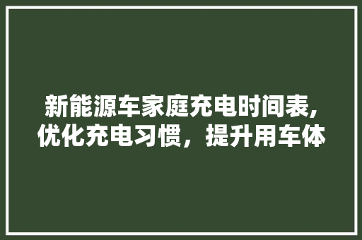 新能源车家庭充电时间表,优化充电习惯，提升用车体验