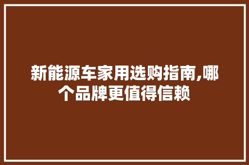 新能源车家用选购指南,哪个品牌更值得信赖