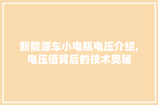新能源车小电瓶电压介绍,电压值背后的技术奥秘