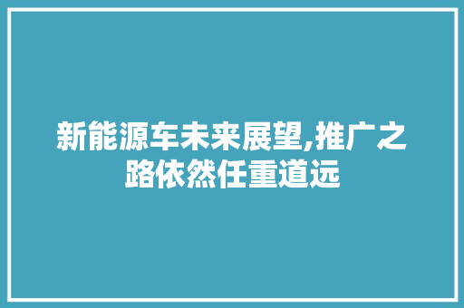 新能源车未来展望,推广之路依然任重道远