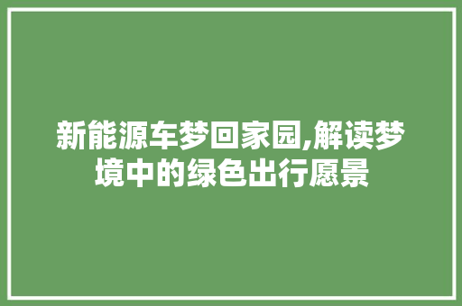 新能源车梦回家园,解读梦境中的绿色出行愿景