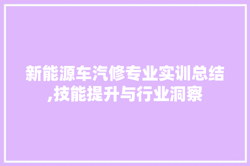 新能源车汽修专业实训总结,技能提升与行业洞察
