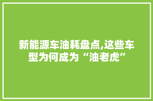 新能源车油耗盘点,这些车型为何成为“油老虎”