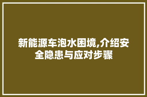新能源车泡水困境,介绍安全隐患与应对步骤 汽车展览